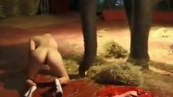 SExy nude blonde wants the elephant in her pussy or ass