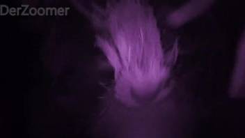 Steamy bestiality scenes with intimate close-ups and climaxes