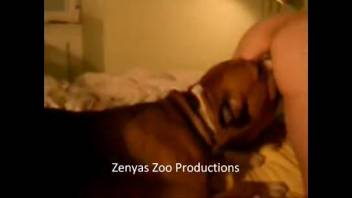 Slender woman relishes massive canine penis in her dual openings