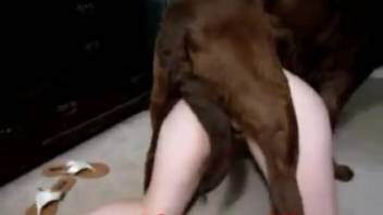 Busty babe is thrilled to have her cunt eaten out completely
