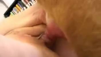 Sexy blondie gets eaten out and pounded by her own hound