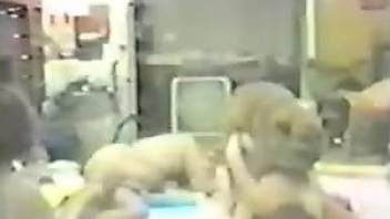 Vintage video showing a seasoned animal fucker