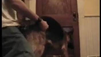 Man fucks his dog in the ass and cums on the animal's fur