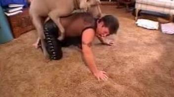 Beefy old bitch getting fucked by a really horny dog