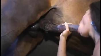 Horny females share tasty horse dick for mutual pleasure