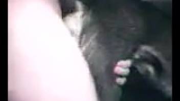 Guy pounding vigorously with his dick fully embedded deep within