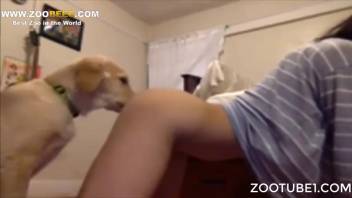 Eager beast tonguing that flawless cunt intensely