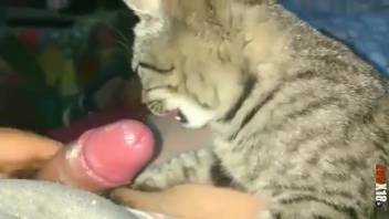 Cute babe sucking dick in a steamy adult flick