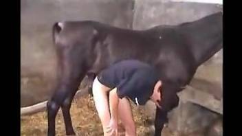 Hot guy handling a colossal horse cock right here