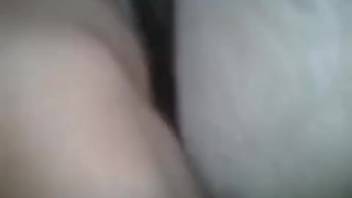 Guy employing his cock to screw this unfortunate beast