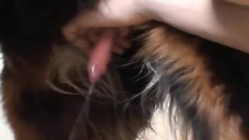 Passionate stroking and hot orgasms from a dog