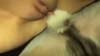 Swollen vulva stunner being pounded doggy style