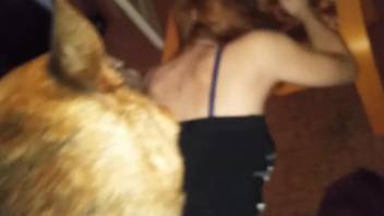 Aroused female feels entire dog's dick humping her harder than ever