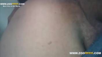 Naked homosexual man receives canine penis for hardcore butt sex live on webcam
