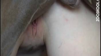 Nude lady experiences ultimate pleasure with canine cock inside her pussy