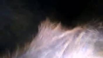 Excited guy toys with his dick against a mare's snug vagina