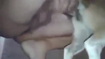 Attractive man directs his penis into a female dog's vagina and destroys it