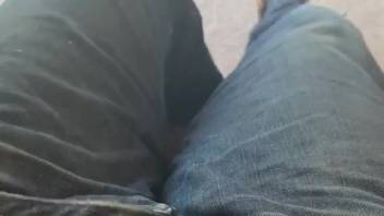 Fluffy canine satisfies owner by tonguing his cock