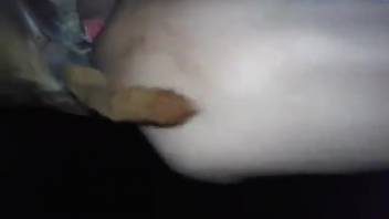 Guy's firm ass is pounded by a hot beast