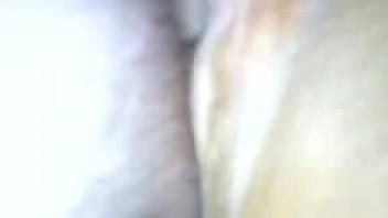 Guy dominating a creature's steamy orifice with his cock