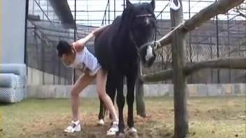 Bushy-crotched brunette being slammed by a stud
