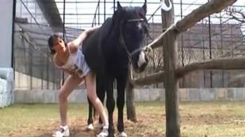 Hairy pussy brunette getting pounded by a stallion