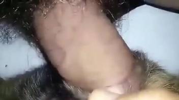Hairy cock pleasuring a dog's tight hole here