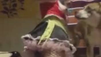 Fantastic adult film featuring a voluptuous zoophile