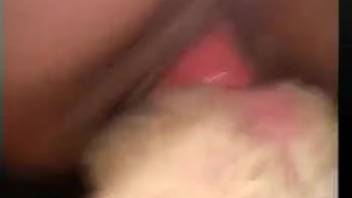 Fiery redhead mounting a canine's stiff crimson erection