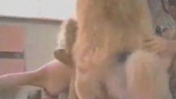 Milfs in classic scenes of zoophilia, enjoying dog cock