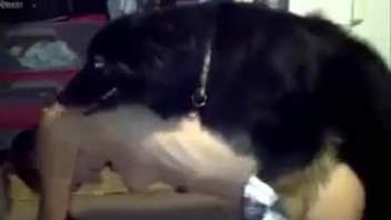 Ebony beast slamming the sexy babe brutally