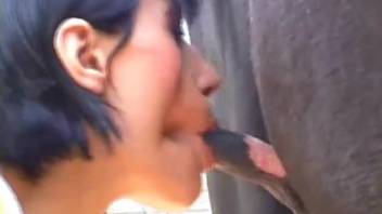 Novice bends down to blow a massive horse cock in a messy adult video