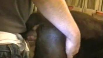 Guy drilling a submissive animal from behind