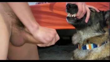 Guy ramming his thick cock down a female dog's throat