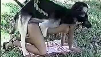 Canine mates with stunning newcomer in al fresco explicit adventure