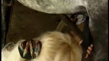 Older woman lounges nude and relishes a robust equine penis in her mouth