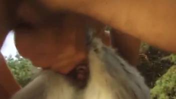 Epic clip of a goat banging a slutty nympho