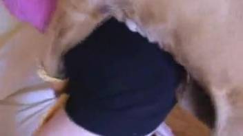 Fair-haired woman with light skin being fucked by a pup