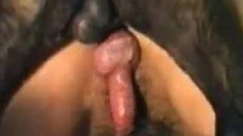 Horny blonde mature feels entire dog penis in her ass