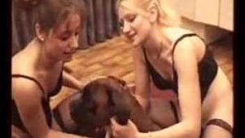 Two girlfriends going wild in a zoo sex scene with a dog