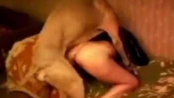 Lovely dog uses its cock to fuck this brunette up