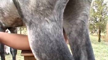 Hung stud stretches a fiery Latina's juicy slit wide open
