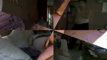 Steamy collection of bestiality scenes featuring novice females