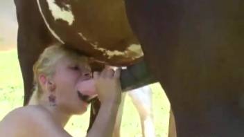 Sexy spouse experiences horse cock for the first time