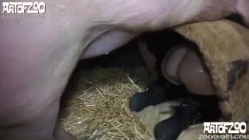 Eager woman experiences the full swine penis inside her moist vagina