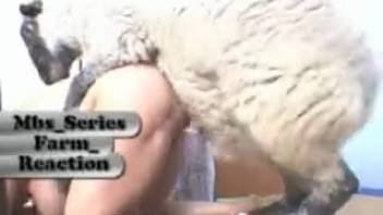 Slender woman invites eager stud to wreck her vagina