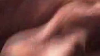 Astonishing animal sex film featuring numerous close-up shots