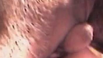 Woman ass fucked by the dog and jizzed in the pussy