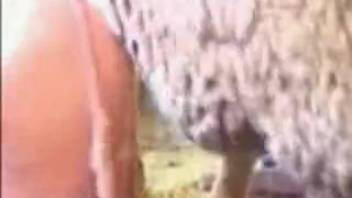 Ram's stiff dick thrusting into a hot mom's juicy cunt