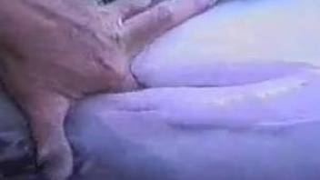 Dolphin pussy getting fingered in a hot porn movie